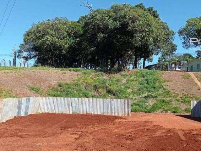 Terreno à venda, 9195 m² por R$ 7.500.000,00 - São Cristóvão - Cascavel/PR