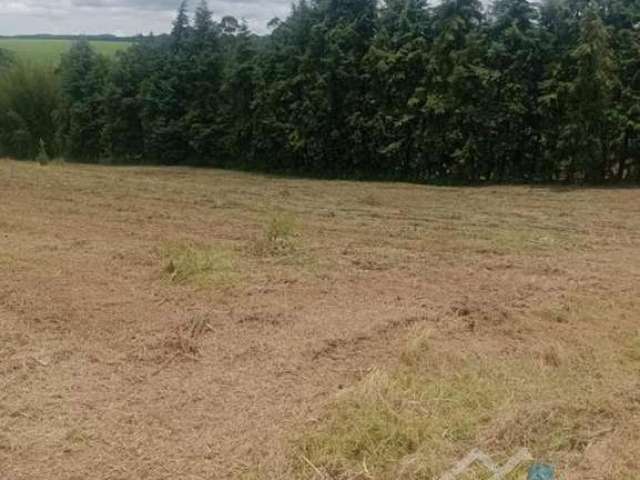 Terreno para Venda em São Miguel Arcanjo, Abaitinga, 1 dormitório, 1 banheiro, 1 vaga