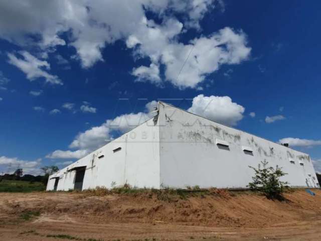 Barracão / Galpão / Depósito para alugar na Estrada Municipal, Chácaras Cardoso, Bauru, 3000 m2 por R$ 35.000