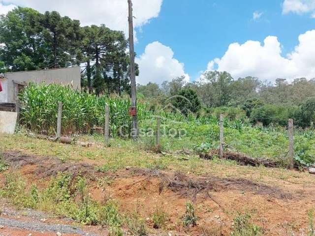 Terreno à venda Colônia Dona Luiza