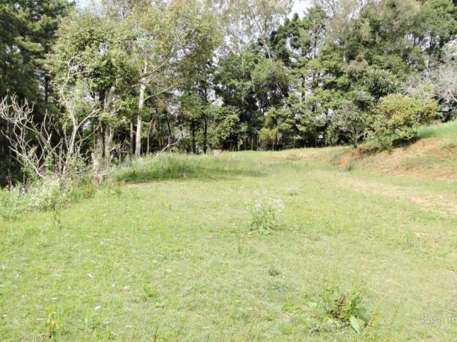 Terreno à venda Cinto Verde - Uvaranas