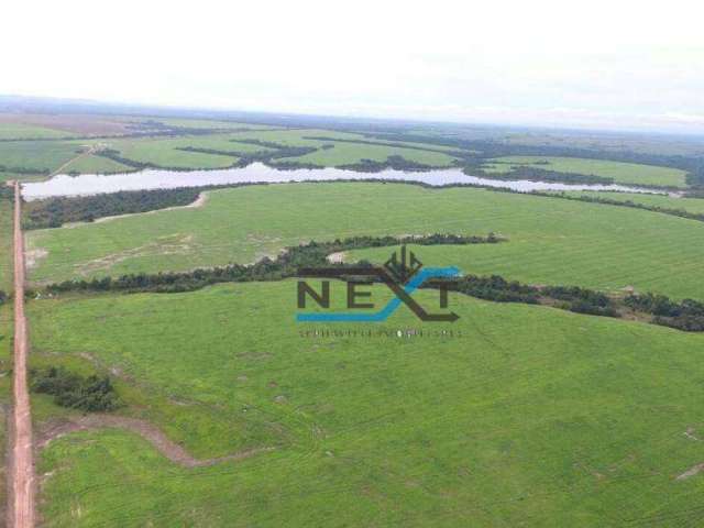 Fazenda à venda, 171250000 m² por R$ 800.000.000,00 - Setor Central - Araguaína/TO