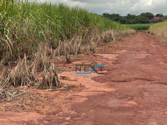 Vendo Fazenda Região São Carlos SP