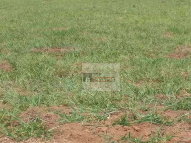 Terreno residencial à venda, Pacaembu, Americana.