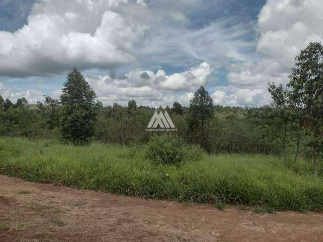 Vendo terreno em Itaúna de 4 mil metros localizado em área rural!