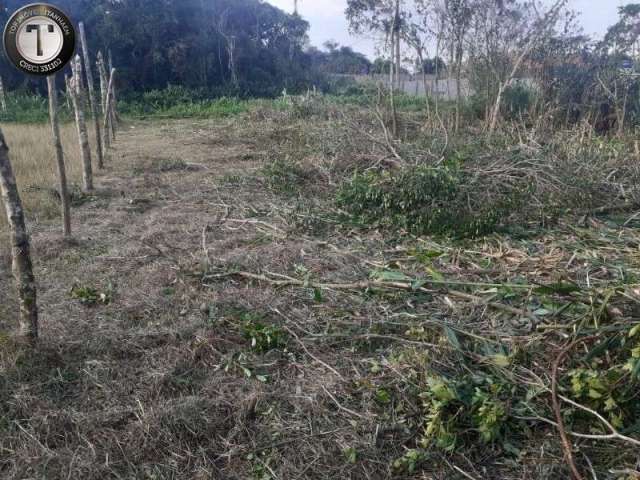 Terreno lote inteiro com 306,60 metros quadrados a venda Itanhaém, São Paulo, bairro Luizamar Mirim lado morro,