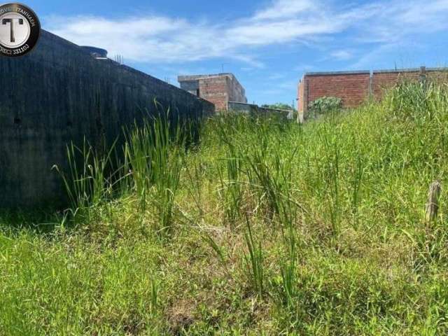 Terreno com 150 metros quadrados à venda, bairro Luizamar Mirim, Itanhaém, São Paulo,