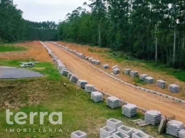 Terreno à venda no Centro, Doutor Pedrinho  por R$ 127.187