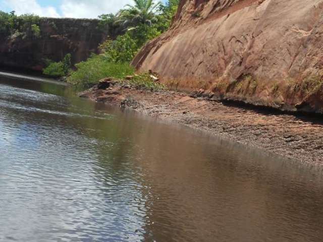 Fazenda em jaguaripe  800 hectares oportunidade