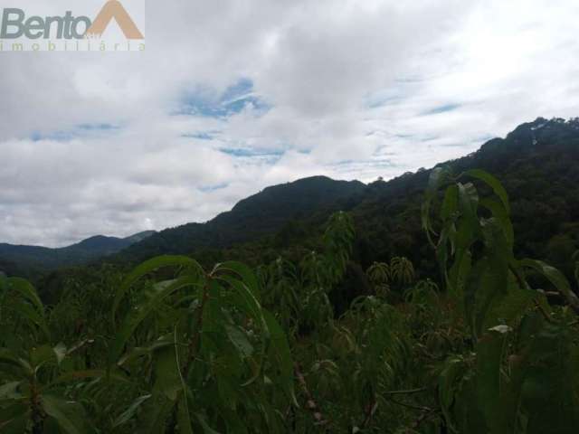 Chácara para Venda em Centro Campo Largo-PR