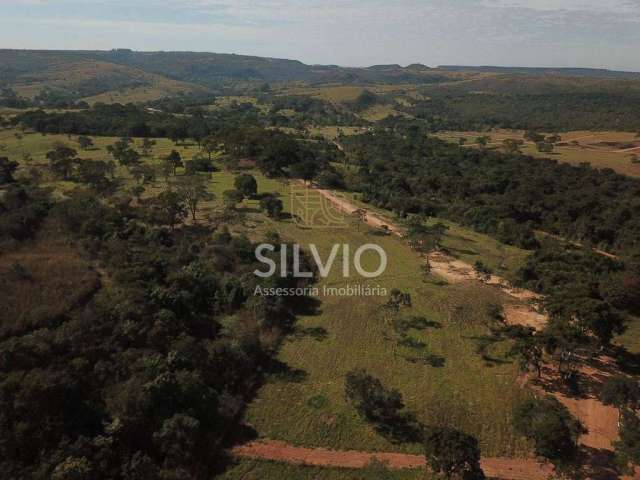 Lançamento de Chácaras Rurais em Brasília Vitivinícola