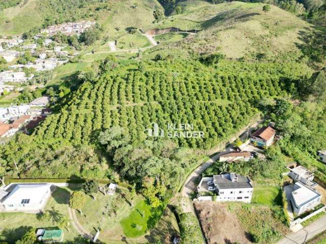 Terreno à venda, 13200 m² por R$ 2.400.000,00 - Cônego - Nova Friburgo/RJ