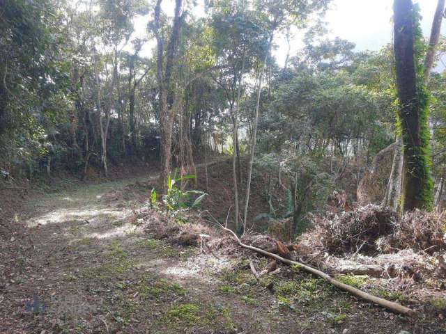 Terreno à venda, 7400 m² por R$ 1.500.000,00 - Cônego - Nova Friburgo/RJ