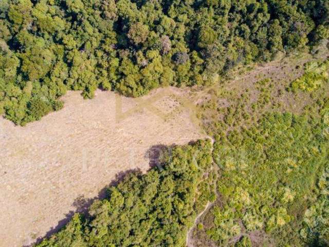 Terreno em condomínio fechado à venda na Rua Treze de Maio, 001, Jardim Martinelli (Sousas), Campinas por R$ 2.200.000