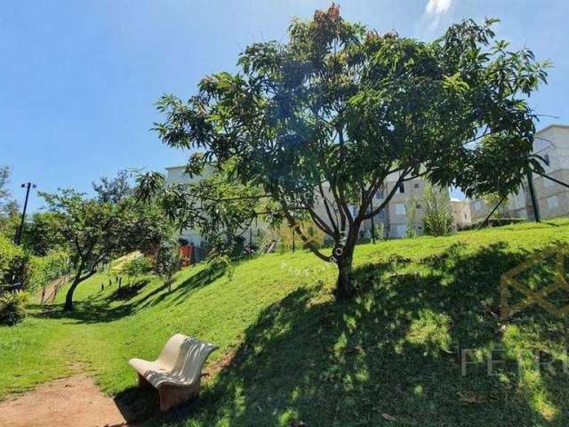 Apartamento Residencial à venda, Ponte Preta, Campinas - AP6768.