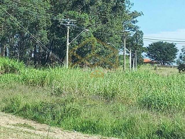 Terreno Residencial para venda e locação, Chácaras São Martinho, Campinas - TE3149.