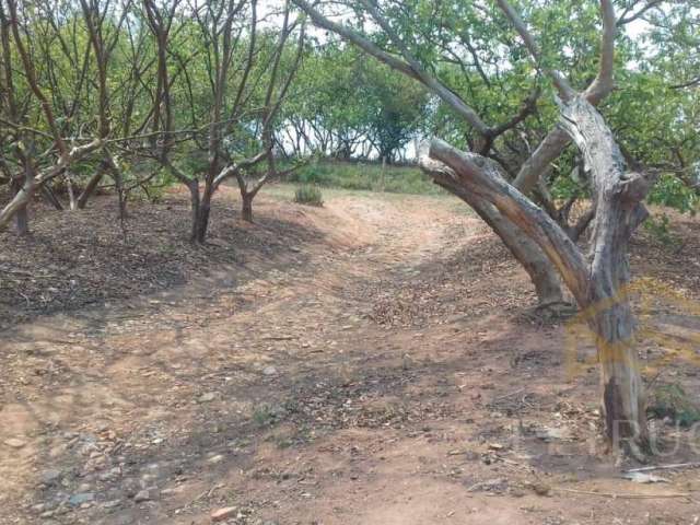 Terreno à venda na Rua Agostinho Antonio Solinski, 001, Vila Capuava, Valinhos por R$ 1.200.000