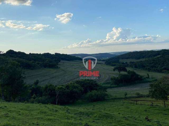 Sítio à venda em Assaí no Paraná. Com 27 alqueires sendo 15 alqueires plantando, cerca paraguaia, córrego, 2 poços artesianos e 1 represa. 4Km do asfa