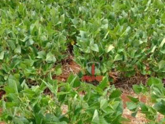 Fazenda à venda na Warta no Paraná. Com 85 alqueires sendo 66 alqueires de plantio, terra roxa, topografia plaina. 6Km do asfalto.