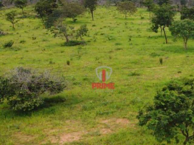 Fazenda à venda no Alto do Araguaia no Mato Grosso. Com 780 hectares com 35% de reserva, 65% de pastagem, escriturada, montada na pecuária, casa sede,