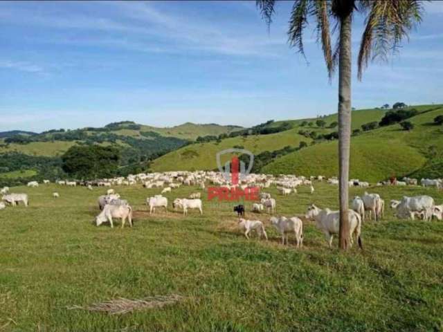 Fazenda à venda em Marquinho no Paraná. Com 119 alqueires, podendo mecanizar 20. Com 680 cabeças de gado, poço artesiano, mangueira com capacidade par