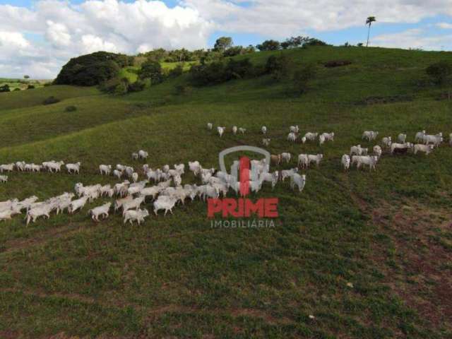 Fazenda à venda em Uraí no Paraná.  Hoje na pecuária, com 15 alqueires na lavoura, casa de alvenaria simples, mangueira, bem localizada, apenas 3 km d