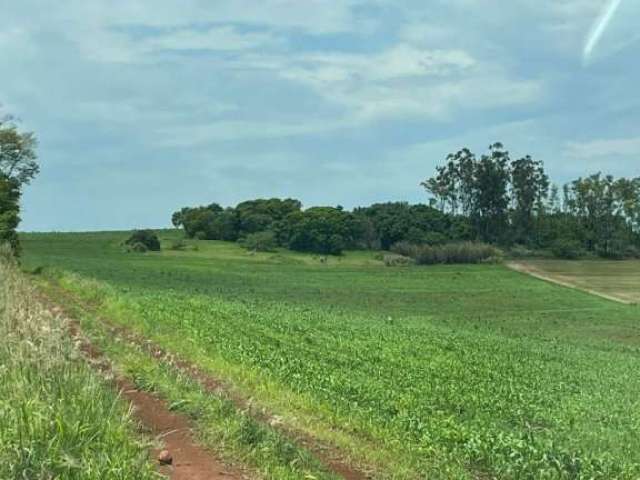 Sítio à venda na Warta região de Londrina no Paraná. 10 alqueires  5,5 alqueires plantando  2,0 alqueires plantar Hoje em pasto  Confinamento para 250