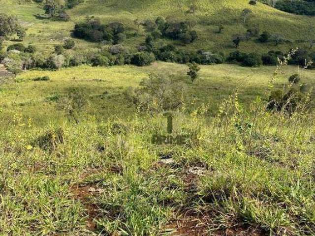 Sítio à venda em Bela Vista do Paraíso no Paraná. Com 17 alqueires em pasto com mangueira, todo cercado nas divisas e rico em água.