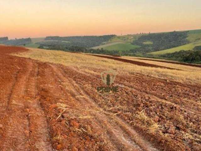 Sítio à venda em Mauá da Serra. Com 35 alqueires sendo 27 alqueires de plantio. 890 metros de altitude. Campo de semente. 3.000 mil sacos de soja por