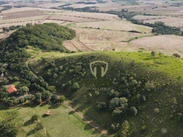 Sítio à venda em Assai no Paraná. Com área de 114 hectare e 1  Barracão de 300m².   1.140.000 m². Além de ser um sítio misto para plantar ou criar gad