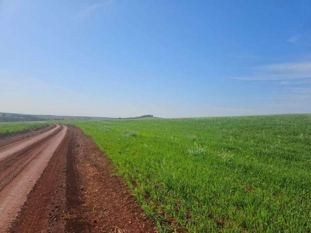 Fazenda à venda em Cornélio Procópio no Paraná. Com 105 alqueires, 85 plantado, 2 alqueires de horta, 3 alqueires pasto. Valor R$32.000.000,00  R$12.0