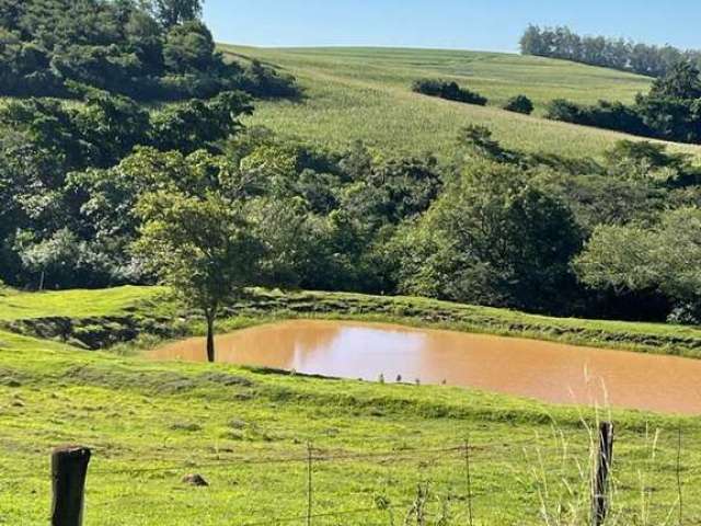 Sitio em Bela vista no Paraná. Com 29 alqueires sendo 24 alqueires de plantio.  R$ 6.500.000,00 -- Entrada + 2 pagamentos.