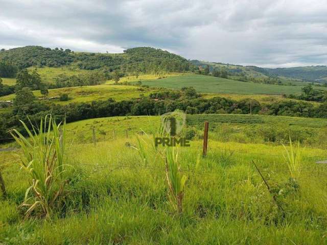 Sítio à venda em Tamarana no Paraná. Com 10 alqueires sendo 5 alqueires de plantio, 4 alqueires de pasto. Curral novo, Galinheiro, duas represas, poço