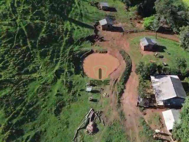 Fazenda à venda em Nova Laranjeiras no Paraná, Com 212 alqueires sendo 170 alqueires em pasto, 12 alqueires de plantio de silagem e 50 alqueires de la