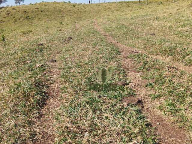 Sítio à venda em Bela vista do Paraiso no Paraná. Com 13 alqueires, 08 km da cidade, Mangueira, Todo em pasto.  R$ 2.000.000,00 - Em três pagamentos,