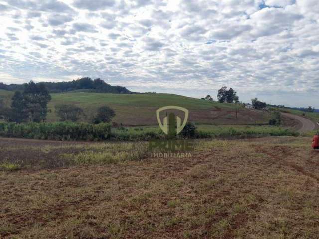 Fazenda à venda em São Miguel do Oeste em Santa Catarina.  Com 530 alqueires, sendo 6 matrículas, 130 alqueires de plantio hoje e abre mais 80 à 100 a