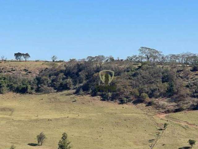 Sítio à venda em  Assaí no Paraná. Com 16 alqueires, casa sede, casa de funcionário, mangueira, piqueteado. 2 km do asfalto.   R$ 250.000,00 o alqueir