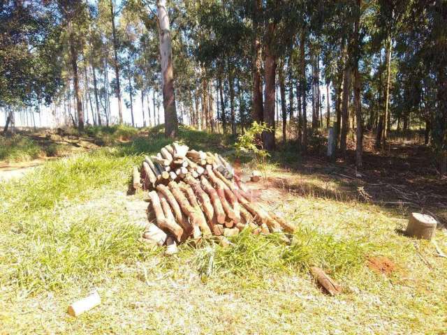 Fazenda à venda em Guaraniaçu no Paraná. Localizada à 35 km do Rio São Francisco 65 km de Cascavel,  80 km de Laranjeiras do Sul, 350 km de Maringá. C