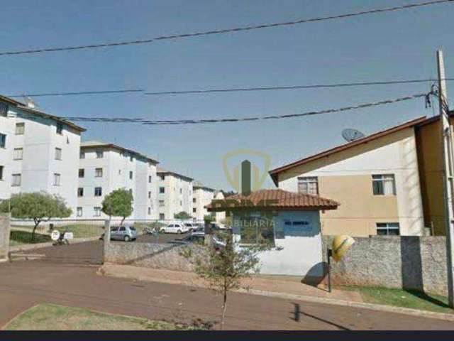 Apartamento à venda no Jardim Nova Olinda no Condomínio Abel Chimentão em Londrina. Cozinha com armários novos. Apartamento com pintura nova.