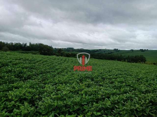 Sítio com 20 alqueires, 14 produzindo, podendo produzir 16, reserva e eucaliptos, com côrrego que demarca a divisa de outra propriedade. Sítio à 13 KM