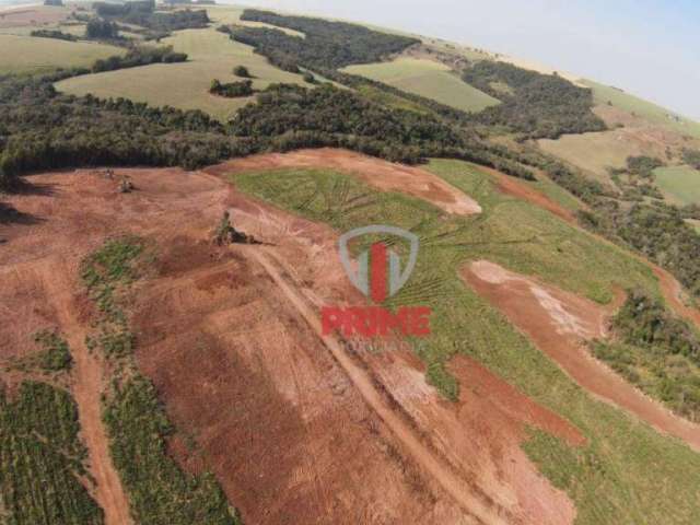 Sítio à venda em Maua da Serra no Paraná. Terra roxa, plantando 31 alqueires.