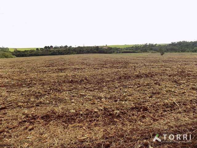 Sítio à venda em Cesário Lange/SP