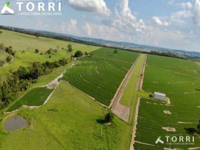 Fazenda ,agricultura,pecuária à venda, Centro, Marília - FA0165.