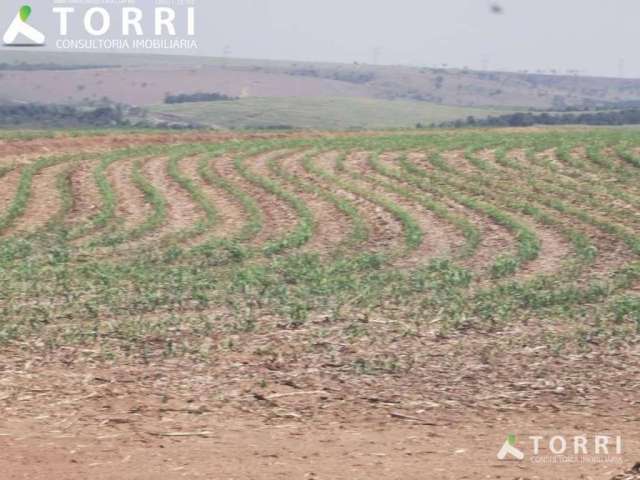 Sítio à venda em Santa Maria da Serra/SP