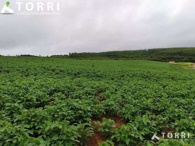 Sítio Comercial à venda, Centro, Pilar do Sul - SI0238.