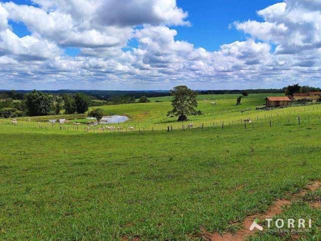 Sítio à venda em, Itapetininga/SP