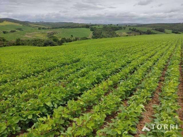 Sítio à venda em Pilar do Sul/SP