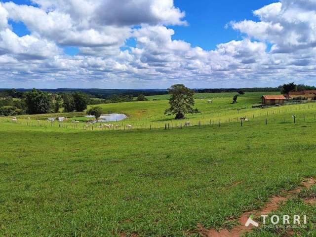 Sítio a venda em Itapetininga-SP