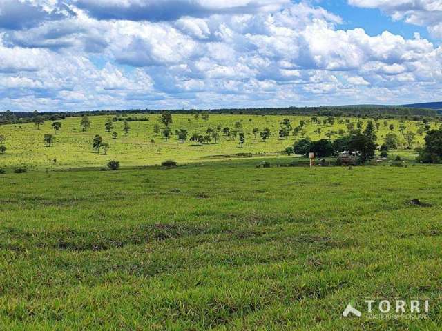 Fazenda à venda no Município de Bofete - SP