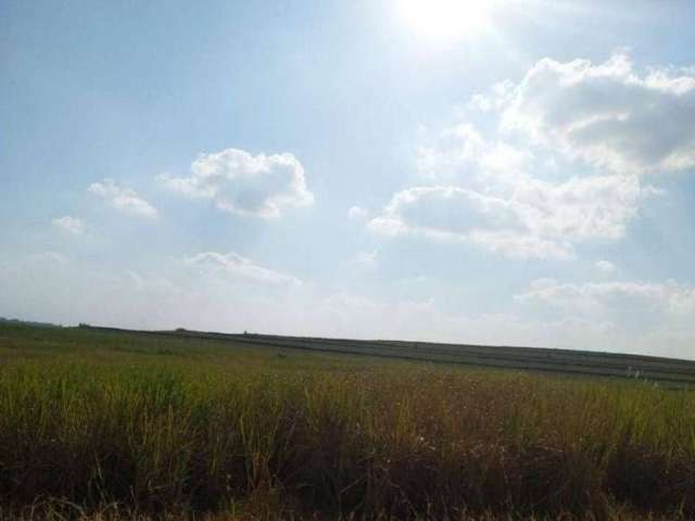 Fazenda com cana à venda no município de Quatá em, Presidente Prudente-SP